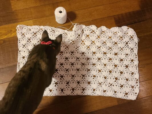 猫のように生きるブログ＊編み物師匠のようになりたい