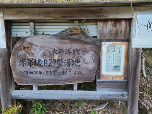 猫のように生きるブログ＊平和に感謝