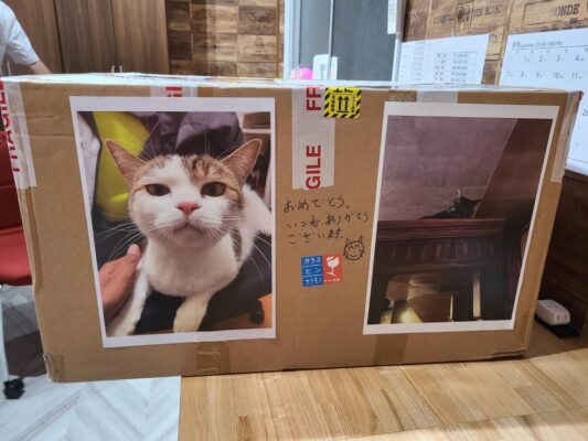 猫のように生きるブログ＊キャットタワー届きました！