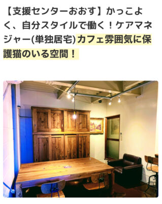 おおニャン日記💖2冊目編  ひょっこりはん?! おおニャン日記💖2冊目編  ひょっこりはん?!