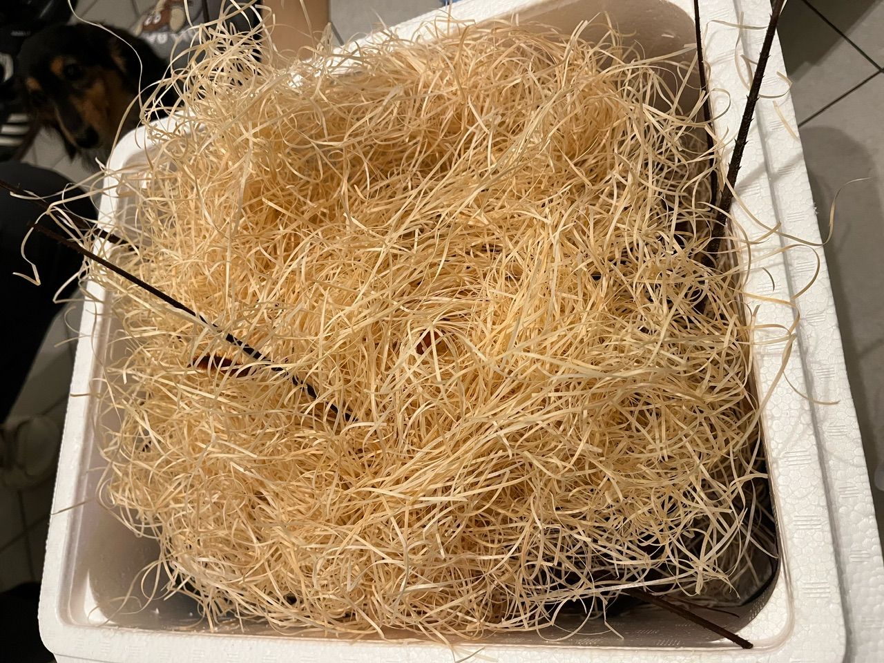 助け合いの場所から生まれる、その後に続く大きな福! 助け合いの場所から生まれる、その後に続く大きな福!