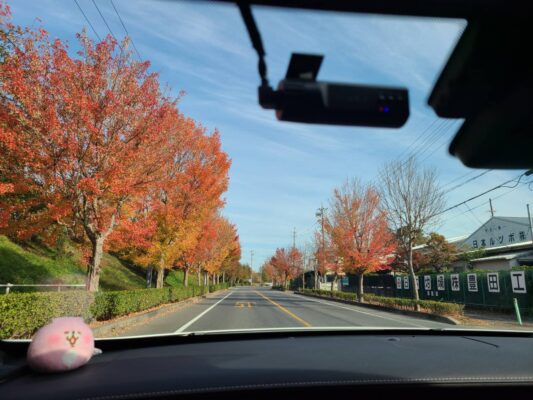 猫のように生きるブログ＊平凡が一番！小里川ダム