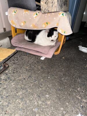 なんだか・・気持ちが良い。