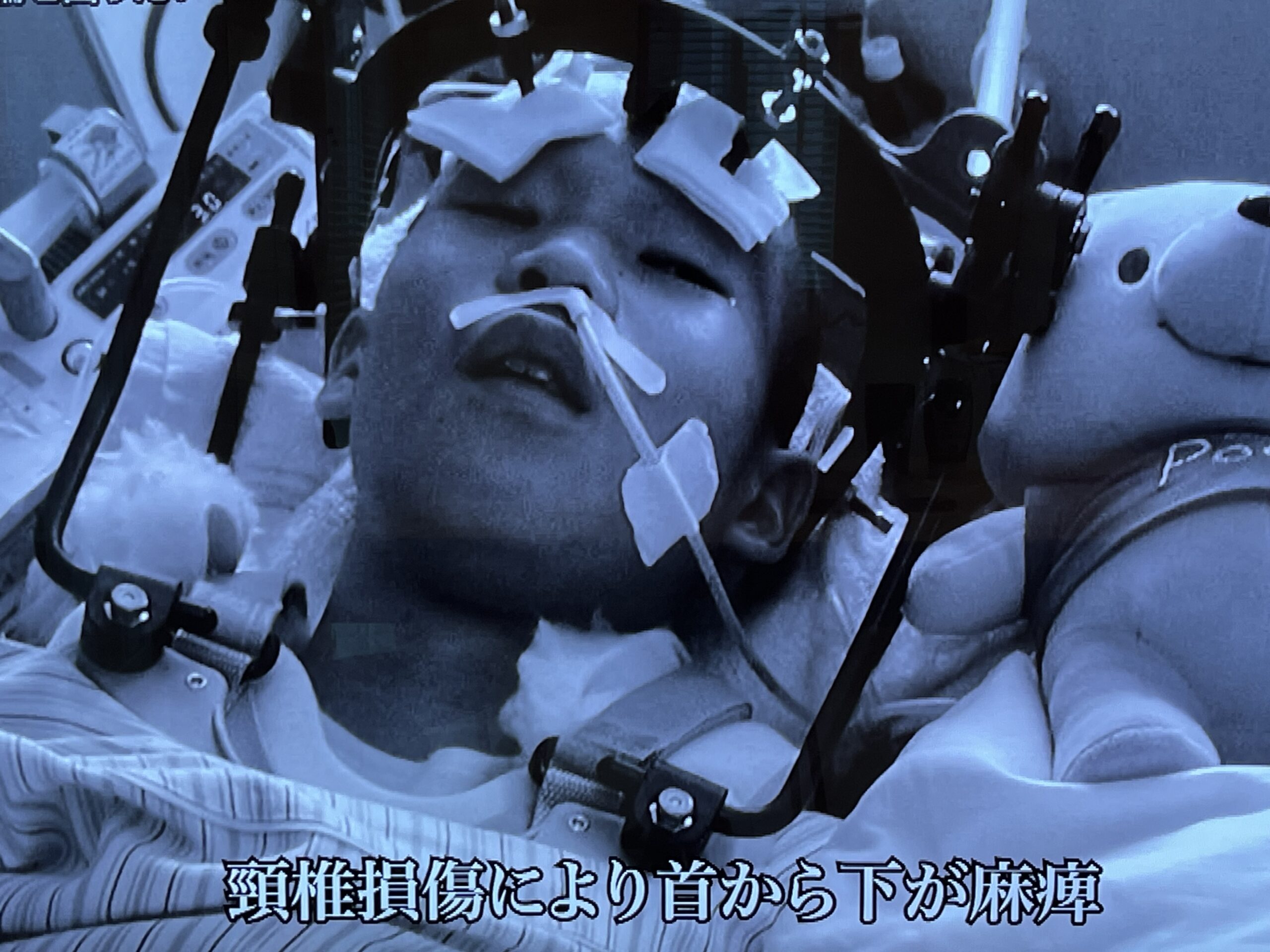 リアル探偵ナイトスクープが巻き起こす超感動！