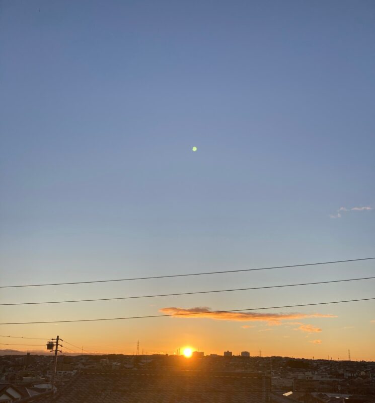 おおニャン日記💖２冊目編　あなたもきっと…