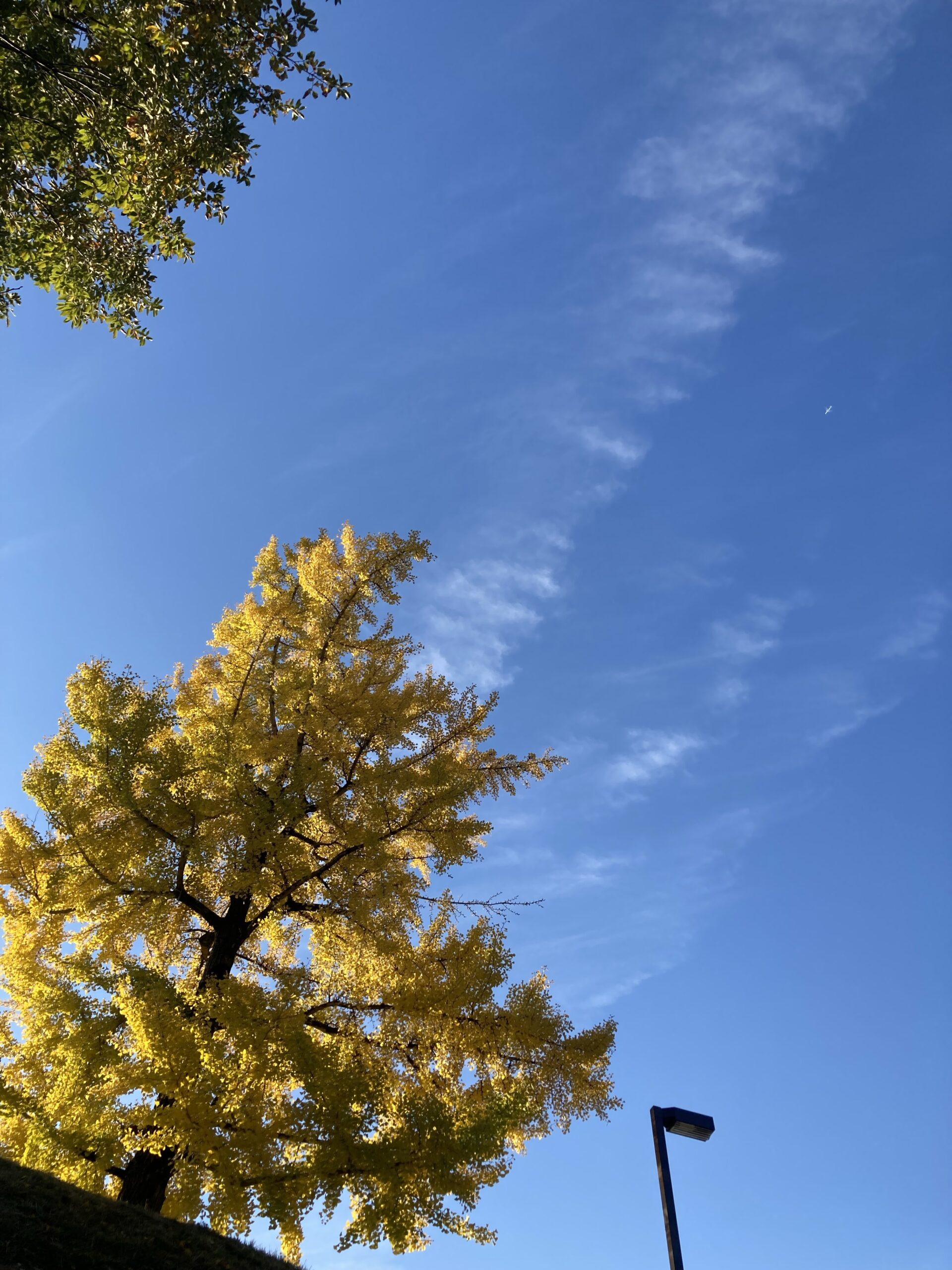 冷たい日の力は、少しのことでもあったかいんだから！