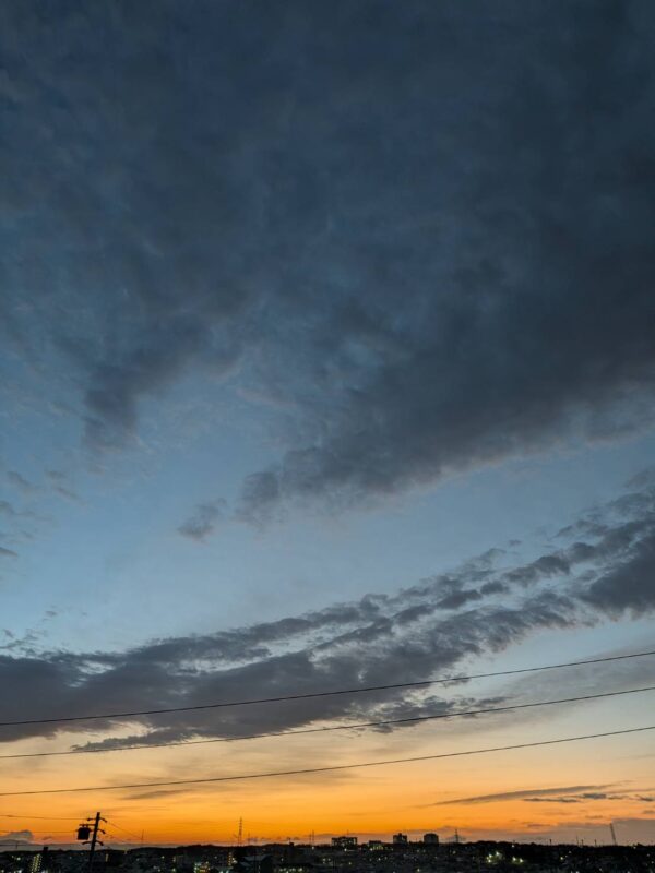 おおニャン日記💖2冊目編　視聴率９０％？！