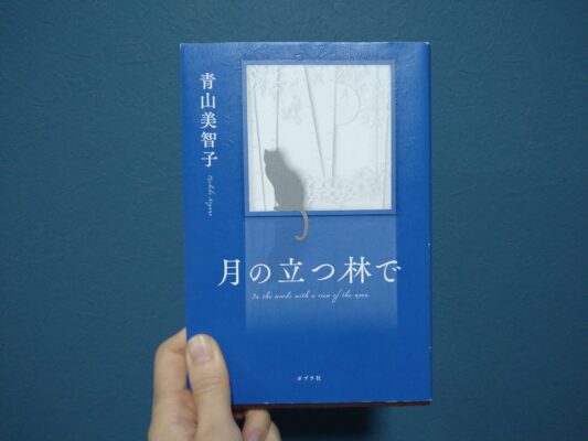 推しごときろく☆新月のような🌑