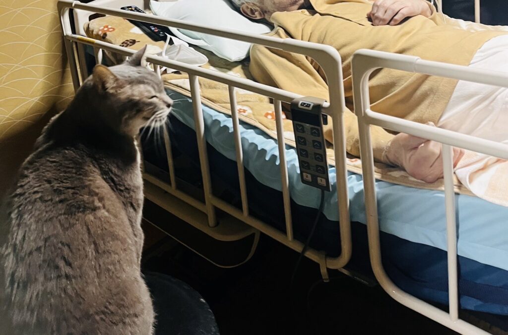 インフォーマルあったカフェ図鑑📙Vol.７