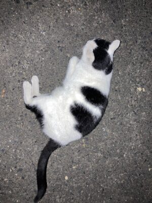 ふたりだけの・・・・空間。