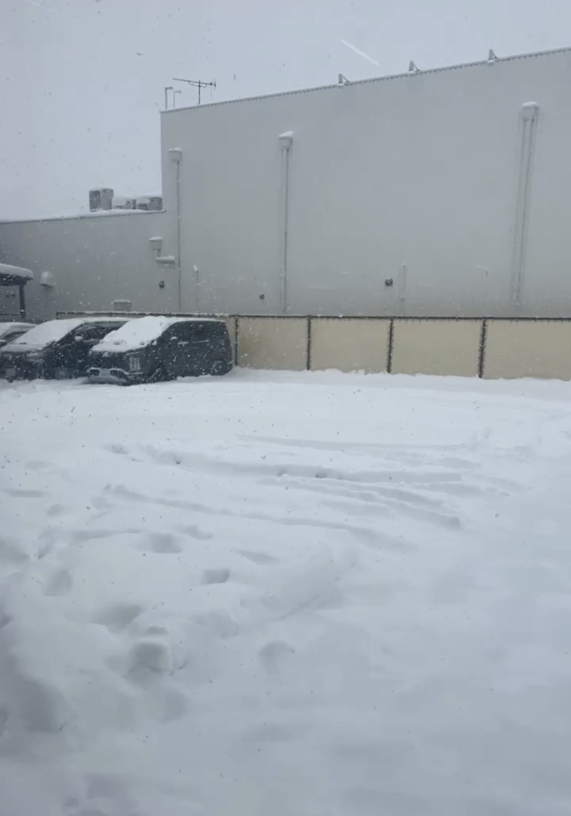 欲のエネルギーを使ってパワー全開！