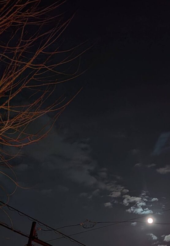 おおニャン日記💖2冊目編　イマジン