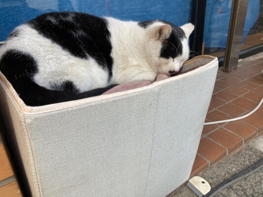 『〇〇を買いに』