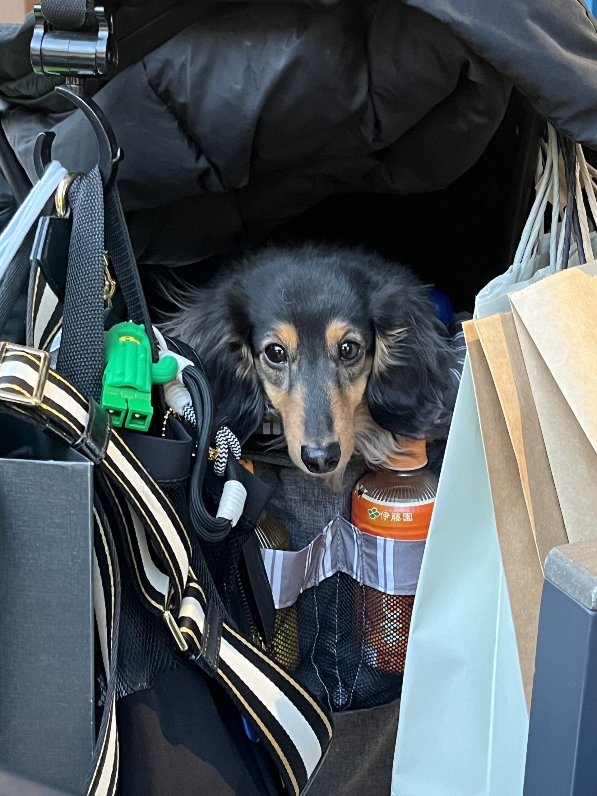 落ちた時、テンションは上げろのサイン！