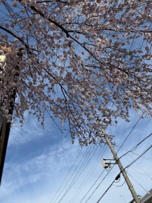 3という数字の持つ力