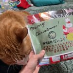 推しごときろく☆クリスマスと2025年🎄